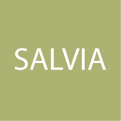 Salvia