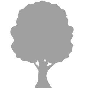 logo_albero